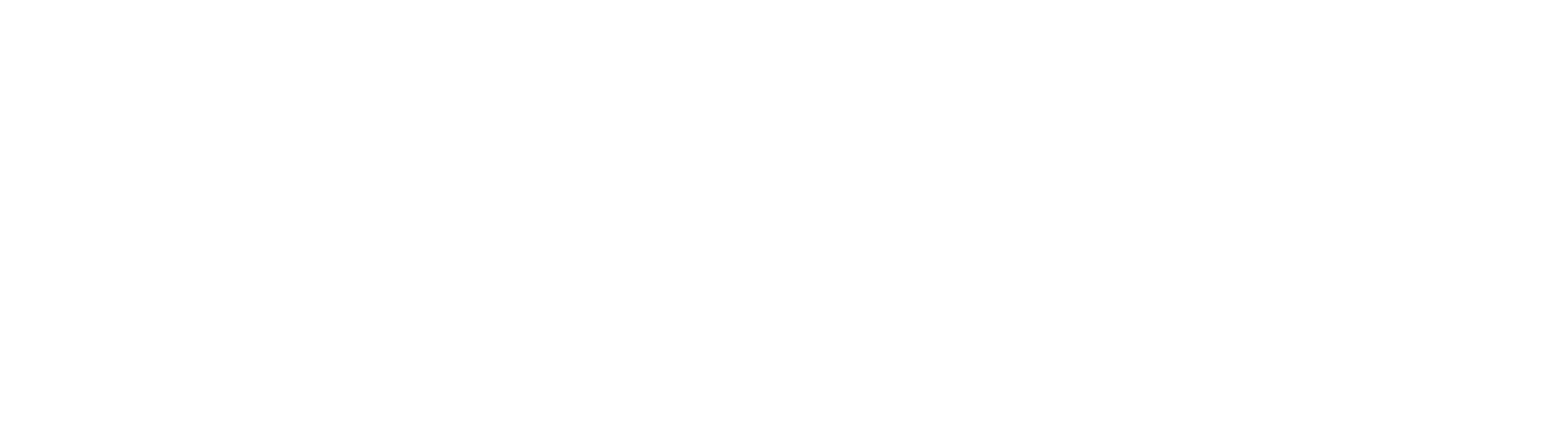 Ornacom french white logo Ornacom french white logo